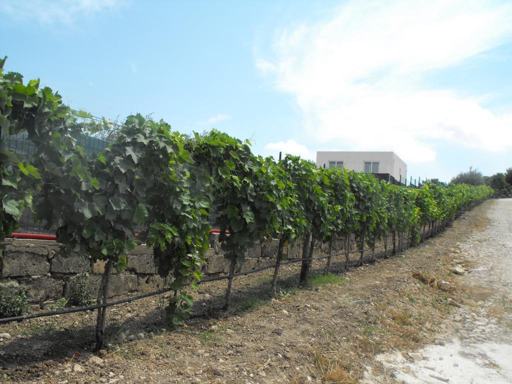 Agriturismoeloropizzuta Lido di Noto Экстерьер фото