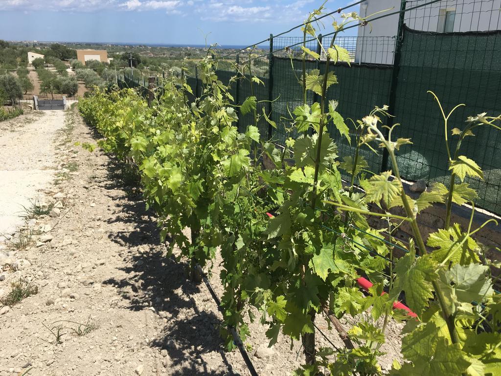 Agriturismoeloropizzuta Lido di Noto Экстерьер фото